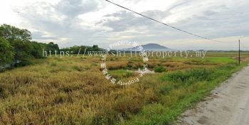 [FOR SALE] Agricultural Land At Kawasan Permatang Pauh, Permatang Pauh