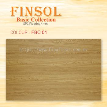 FINSOL SPC BASIC COLLECTION 4mm Col. FBC01