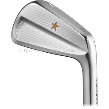 VEGA - SS Irons  (5i To Pw)(Head Only)