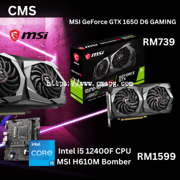 MSI GAMING 1650 D6 GRAPHIC CARD