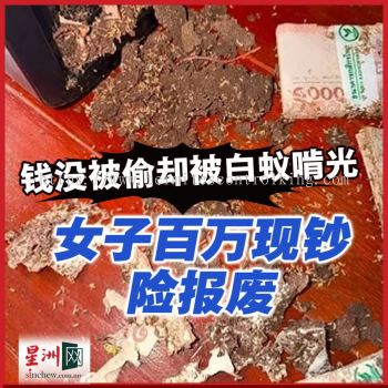 Lum Bio Termites -Penang, Butterworth, B. Mertajam, Sg Petani