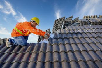 Professional Roofing Works Services