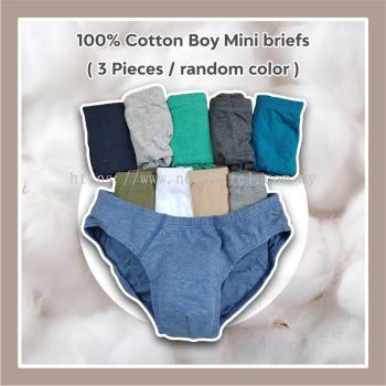 BOY 2-10 YEARS OLD BRIEF 3IN1 SET 