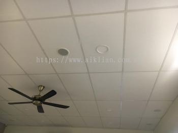 Suspended Ceiling