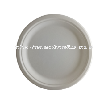  Biodegradable Sugarcane 10″ Disposable Party Plate