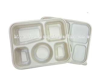 Biodegradable Corn Starch 5 Compartment Take Away Lunch Box (Set)