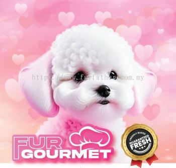 Fur Gourmet CO (Dog)