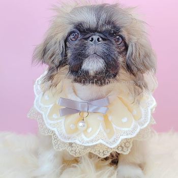 Pekingese 北京犬