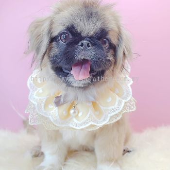 Pekingese 北京犬