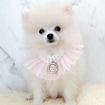 Pomeranian 博美