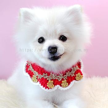 Pomeranian 博美