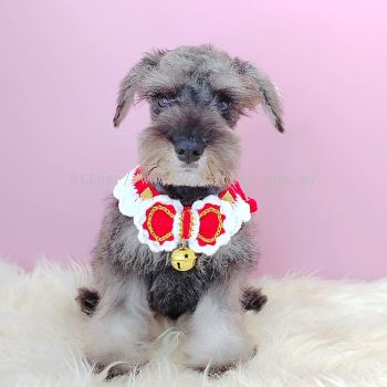 Schnauzer 雪纳瑞