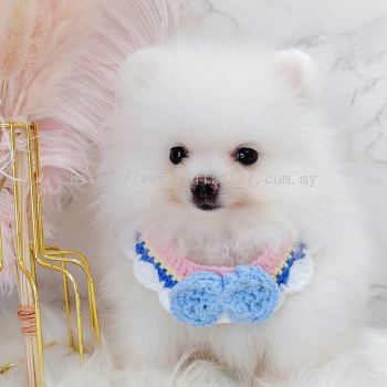 Pomeranian 博美