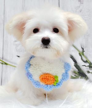 Maltese 马尔济斯