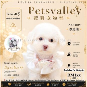 Poochon ̩����