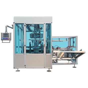 Case Packing Line -Translational Carton Packer (Gripper)