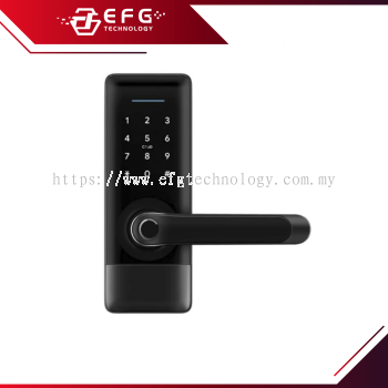 H1B-TTB Smart Door Lock