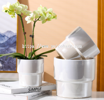 Ceramic Pot PC1247-19677 Nordic flowerpot ceramic creative special light luxury high-end potted plant pearlescent electroplating breathable set basin 北欧花盆陶瓷创意蝴蝶兰专用轻奢高级感兰花盆栽珠光电镀透气套 Pasu bunga Nordic seramik kreatif rama-rama orkid cahaya khas mewah mewah orkid pasu pearlescent penyaduran elektrik penutup bernafas