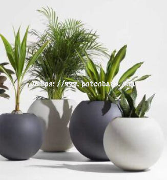 FRP Round Fiberglass Pot  PC1247-17041 Modern Fiberglass Floor-Standing Vase Shopping Mall Hotel Display Decoration Spherical Flower Pot Sales Office Flower Bowl Ornaments 创意玻璃钢花盆圆形球形状组合花钵街道公园广场平口斜口移动花器 Pasu Bunga Gentian Kaca Kreatif Bentuk Bola Bulat Kombinasi Pasu Bunga Taman Jalan Persegi Mulut Rata Mulut Serong Pasu Bunga Mudah Alih