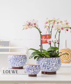 Ceramic Pot PC1247-19631 New Chinese Style Phalaenopsis Special Flower新中式家用客厅陶瓷花盆摆件中国风青花瓷发财树兰花专用三角梅盆 Pot Blue And White Porcelain Vase Large Group Pot High-End Ceramic Household Orchid Flower Pot