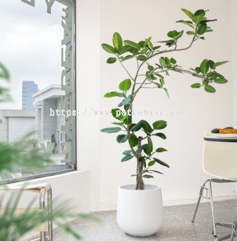 FRP Fiberglass Pot PC1247-17160 Shopping Mall Large Nordic Round Cement Flower Pot Flower Box Living Room Balcony Outdoor Green Plant Pot商场大号北欧圆形水泥花盆花箱客厅阳台户外绿植花盆 Pusat Beli-belah Pasu Bunga Simen Bulat Nordic Besar Kotak Bunga Balkoni Ruang Tamu Pasu Tumbuhan Hijau Luaran