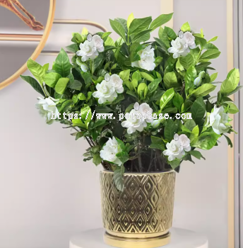 Ceramic Pot PC1247-10685 Nordic Ins Electroplated Ceramic Flower Pots Succulent Plant Pots Round Tray Flower Stand Pots 陶瓷花盆PC1247-10685北欧 ins 电镀陶瓷花盆多肉花盆圆托盘花架盆 Pasu Seramik PC1247-10685 Nordic Ins Electroplated Ceramic Flower Pasu Pasu Tumbuhan Sukulen Dulang Bulat Pasu Stand Bunga