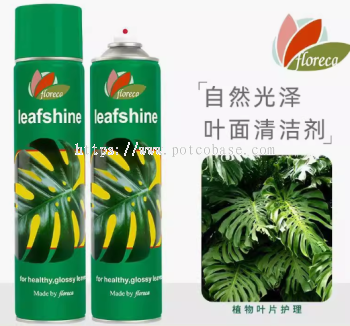 Leafshine flower and plant leaf cleaning and brightening agent, leaf greening spray 600ml 花卉绿植叶面清洁剂金钱树绿萝植物叶片亮光剂增亮增绿防尘喷雾剂 Pembersih daun bunga dan tumbuhan hijau, pokok wang, pencerah daun tumbuhan lobak hijau, penyembur kalis habuk pencerah dan penghijauan