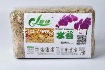 Moss 500G Sphagnum Phalaenopsis special nutritional soil Sphagnum moss moisturizing orchid pavement sphagnum moss 水苔蝴蝶兰专用土换盆优质干水苔智利进口营养土苔藓水笞兰花专用 Tanah khas untuk orkid phalaenopsis lumut sphagnum, lumut sphagnum kering berkualiti tinggi yang diimport dari Chile, lumut tanah yang berkhasiat, khas untuk orkid lumut air