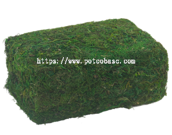 Simulated moss, artificial moss, simulated green plant landscaping project, simulated moss flower arrangement materials 仿真苔藓草坪仿生青苔景观绿植小草盆景造景铺面假苔藓装饰假草 Rumput lumut simulasi, landskap lumut bionik, tumbuhan hijau, rumput, landskap bonsai, hiasan lumut palsu, rumput palsu