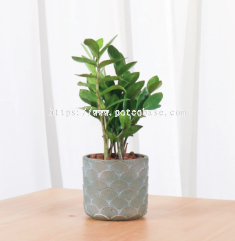 Cement Pot  PC1247- Best-selling old-color embossed Oriental Planter cement pots for small succulents planting flower pots that are breathable and water-permeable