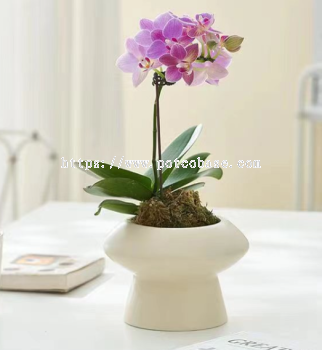 Ceramic Pot PC1247-10834 Cream UFO INS tall small simple potted home foot basin internet celebrity pot flower pot. European style Morandi creative ceramics