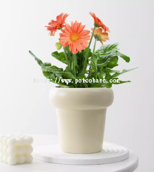 Ceramic Pot PC1247-10835  White Flower Pot Ceramic Nordic Simple Cream Style Living Room Desktop Tulip Butterfly Orchid Special Succulent Green Plant Flower Pot InsԼԿֲڻ Ins Gaya Pasu Mudah Ruang Tamu Tanaman Bunga Dalam Pasu