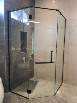 Swing door shower screen