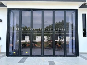 Folding Door