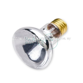 Pentair Spabrite Bulb