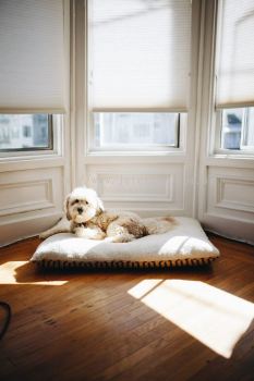 Living Room Roller Blinds