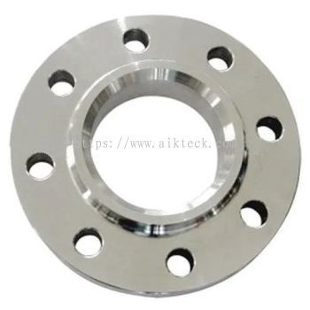 Stainless Forged Flanges