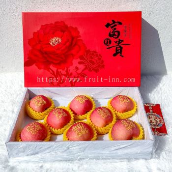 Premium Red Fuji Apple