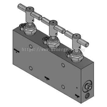 Subsea Double Block & Bleed Needle Valve 