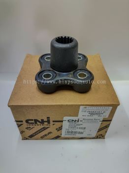 253541 A1  (CNH)  COUPLING