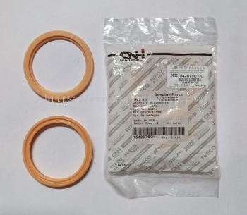 1542879C1  (CNH) SEAL  AND  BUFFER 