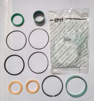 182218 A 1 (CNH) BOOM SEAL  KIT