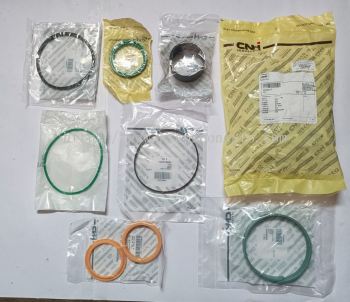 1542915 C2  (CNH)  DIPPER   SEAL   KIT  