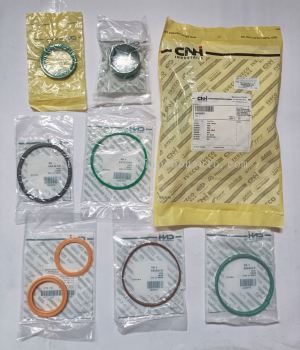 1543269 C1  (CNH) SEAL  KIT 