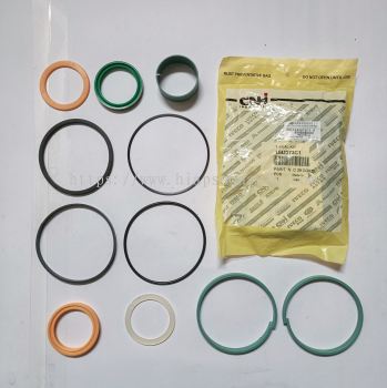 1543273 C1  (CNH)  SWING  DIPPER  STABRILIZER  SEAL  KIT 