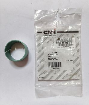 G 102424  ( CNH ) FLYBER  BUSH  