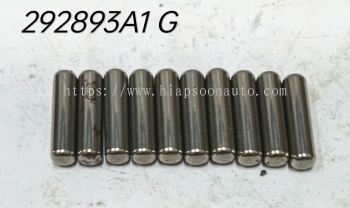 292893A1  BEARING (CNH)