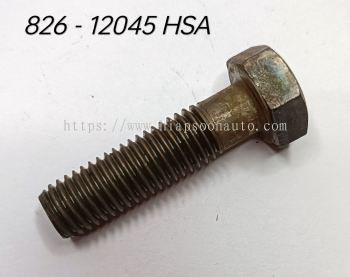 826-12045    BOLT   ( 10.9 )