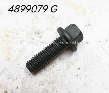 4899079  ( CNH )   BOLT -  CAM  SHAFT  GEAR M8x1.25x25