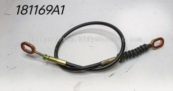 181169 A1  CABLE